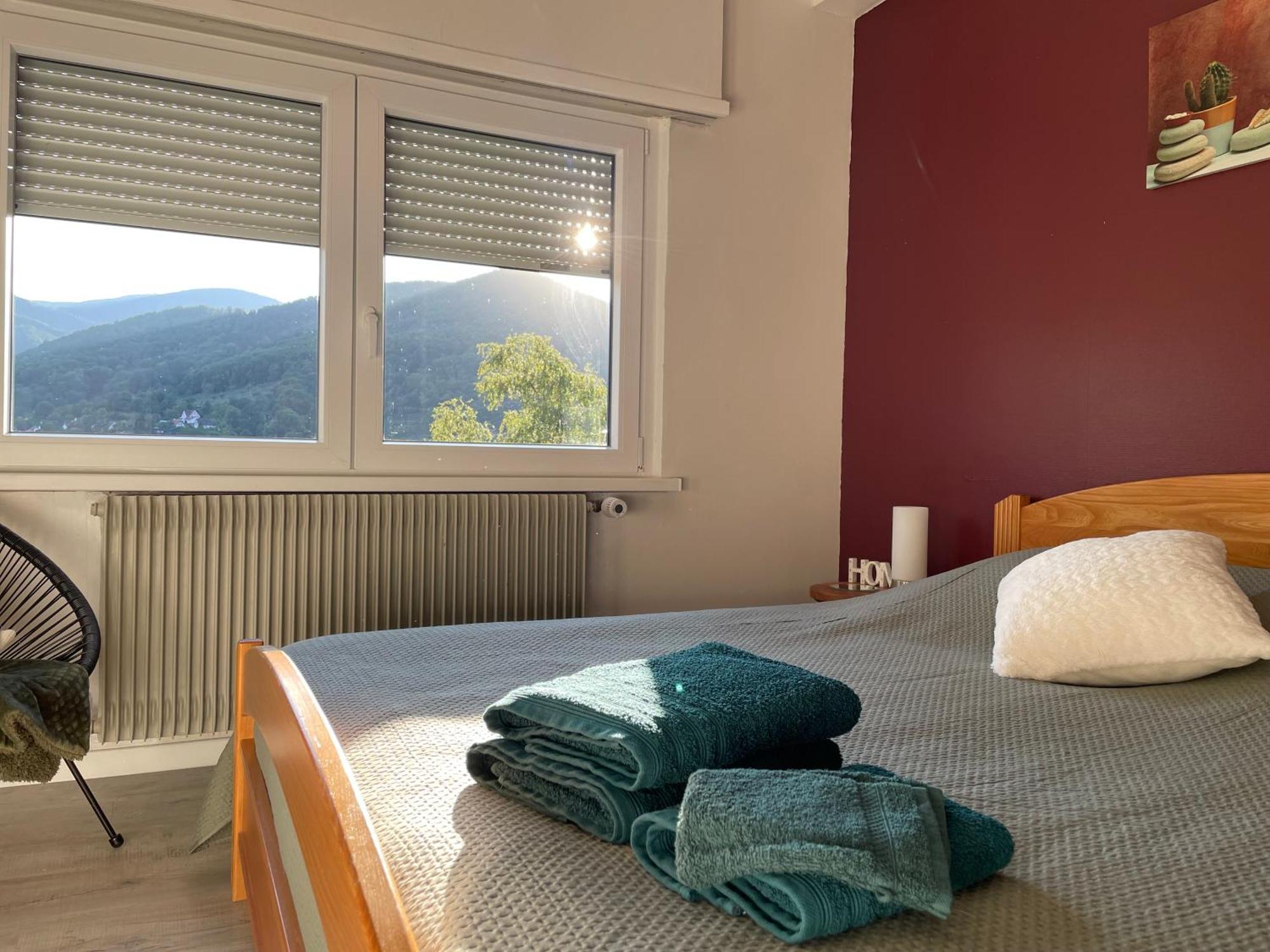 Au Reposoir - Vue Sur La Montagne Apartamento Buhl Exterior foto